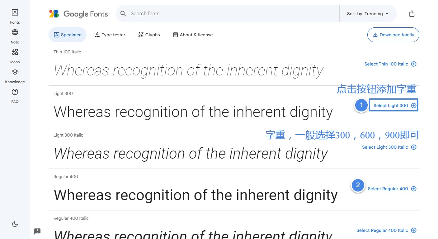 WordPress Flatsome 主题使用 Google 字体提升网站品牌形象-大可建站