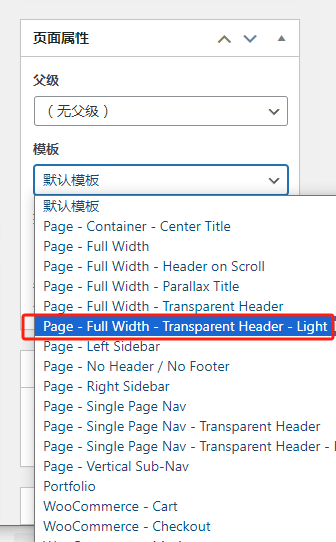 给您的网站添加视频背景 – 使用WordPress Flatsome主题-大可建站