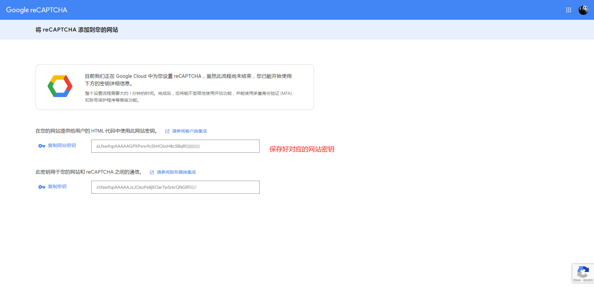 WordPress Fluent Forms表单添加Google验证码,屏蔽垃圾表单提交-大可建站
