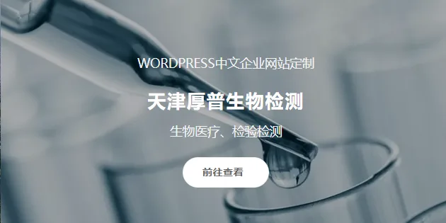 独立开发的Wordpress主题