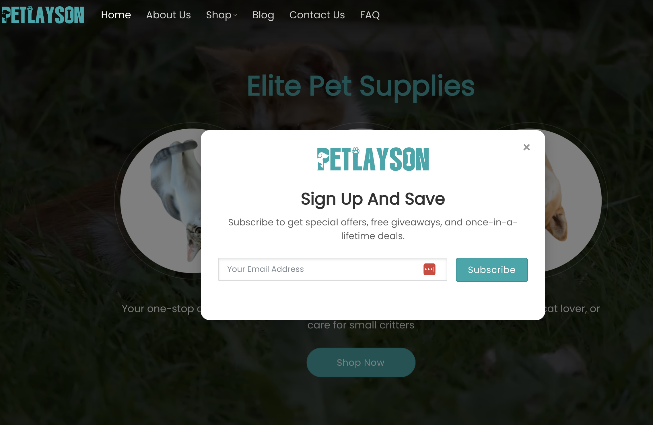 宠物用品独立站