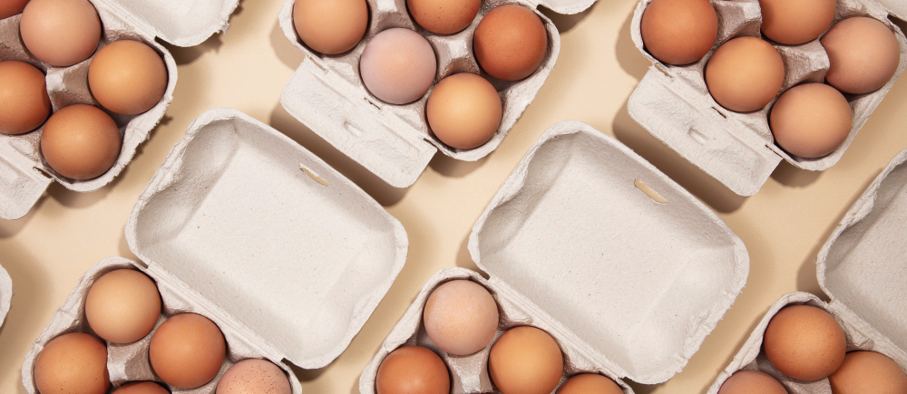 鸡蛋盒包装独立站